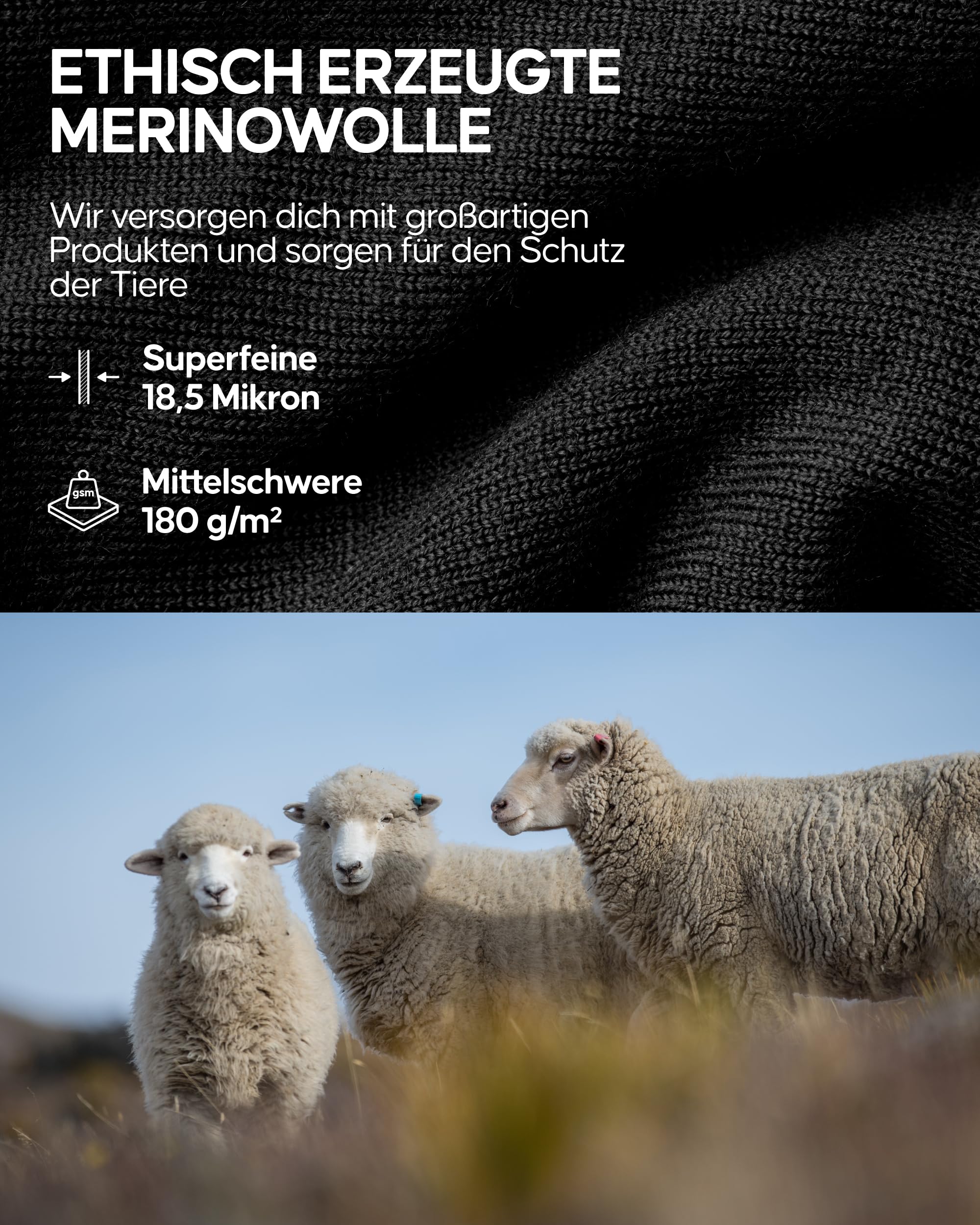 DANISH ENDURANCE Merino Langarm Shirt Herren, Premium Thermounterwäsche, Skiunterwäsche, Temperaturregulierendes Funktionsshirt, Thermoshirt, Warm & Atmungsaktiv