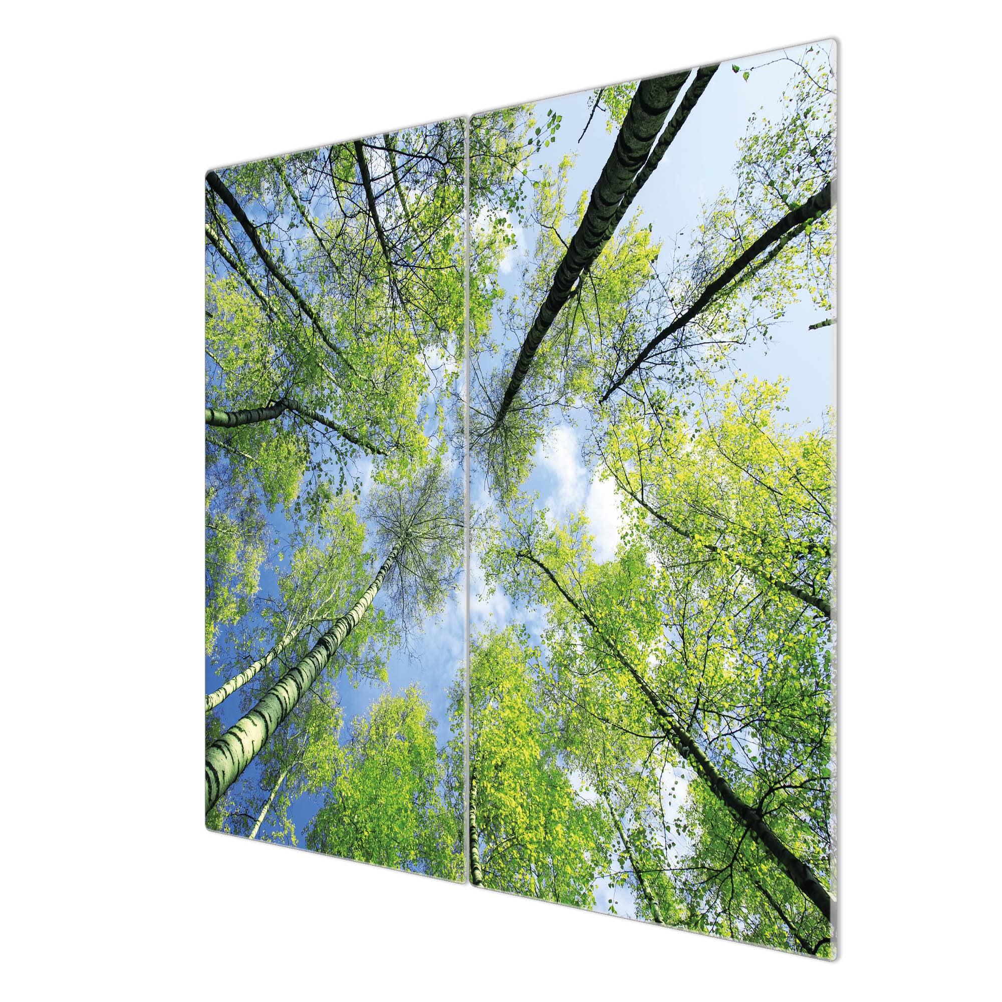 banjado Glas Herdabdeckplatte 2-teilig 60x52 cm, Abdeckung Herdplatte und Schneidebrett Glas aus gehärtetem Glas, zuverlässiger Spritzschutz Küche Natur & Wald mit Motiv Zwischen Bäumen 3
