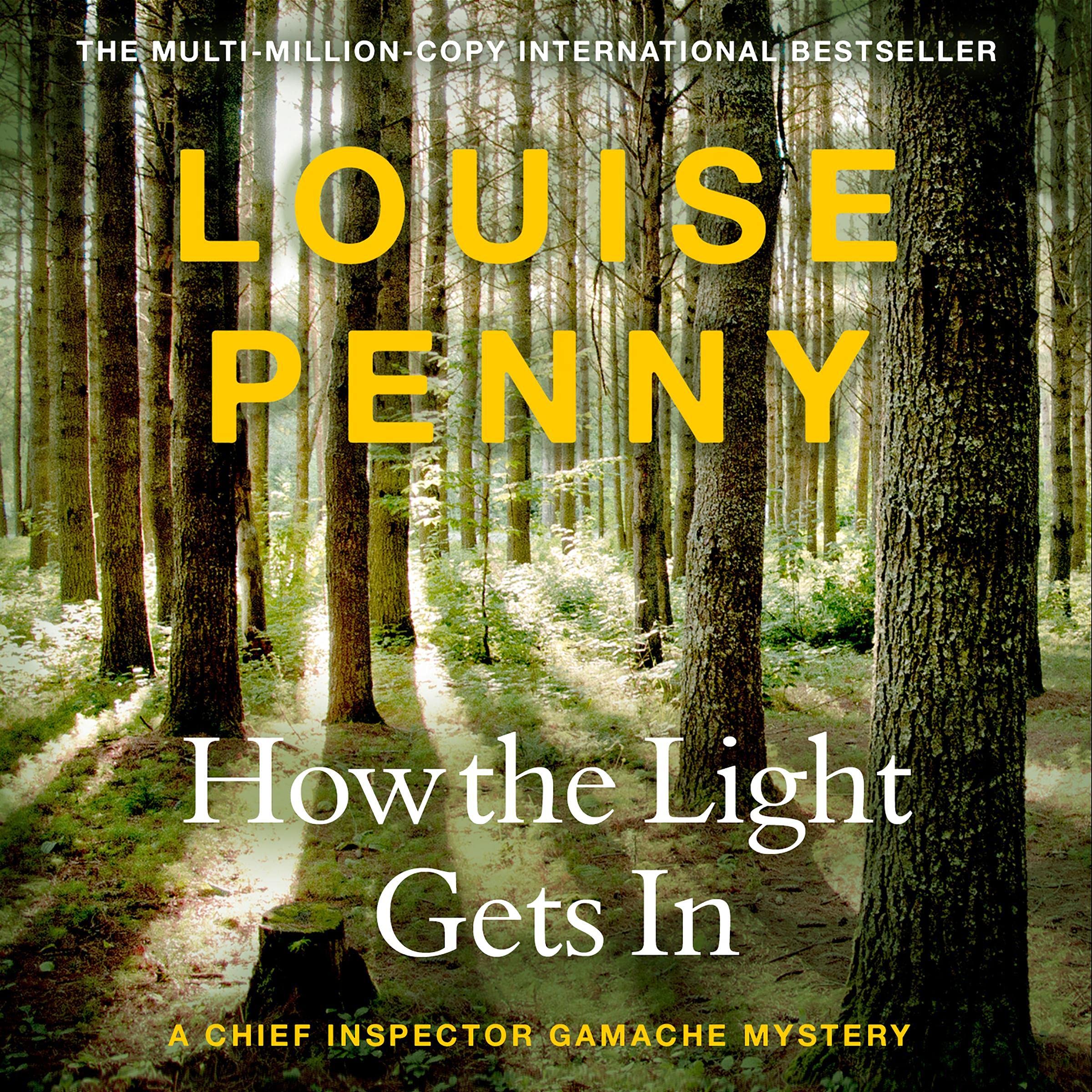 Cover art for How the Light Gets In