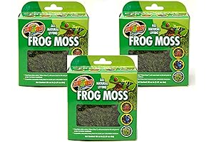 Frog Moss: The Ultimate Amphibian Habitat Enhancer