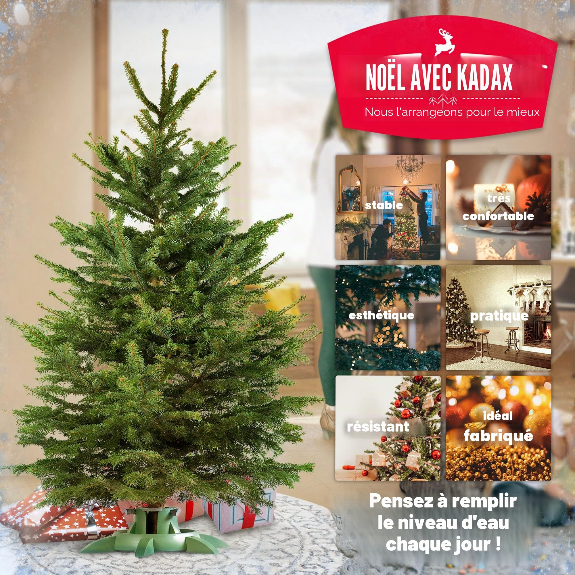 KADAX Support d'arbre de Noël avec réservoir d'eau, Moderne en Plastique Robuste pour Arbres, différentes Tailles (Hauteur d'arbre jusqu'à 3,3 m)