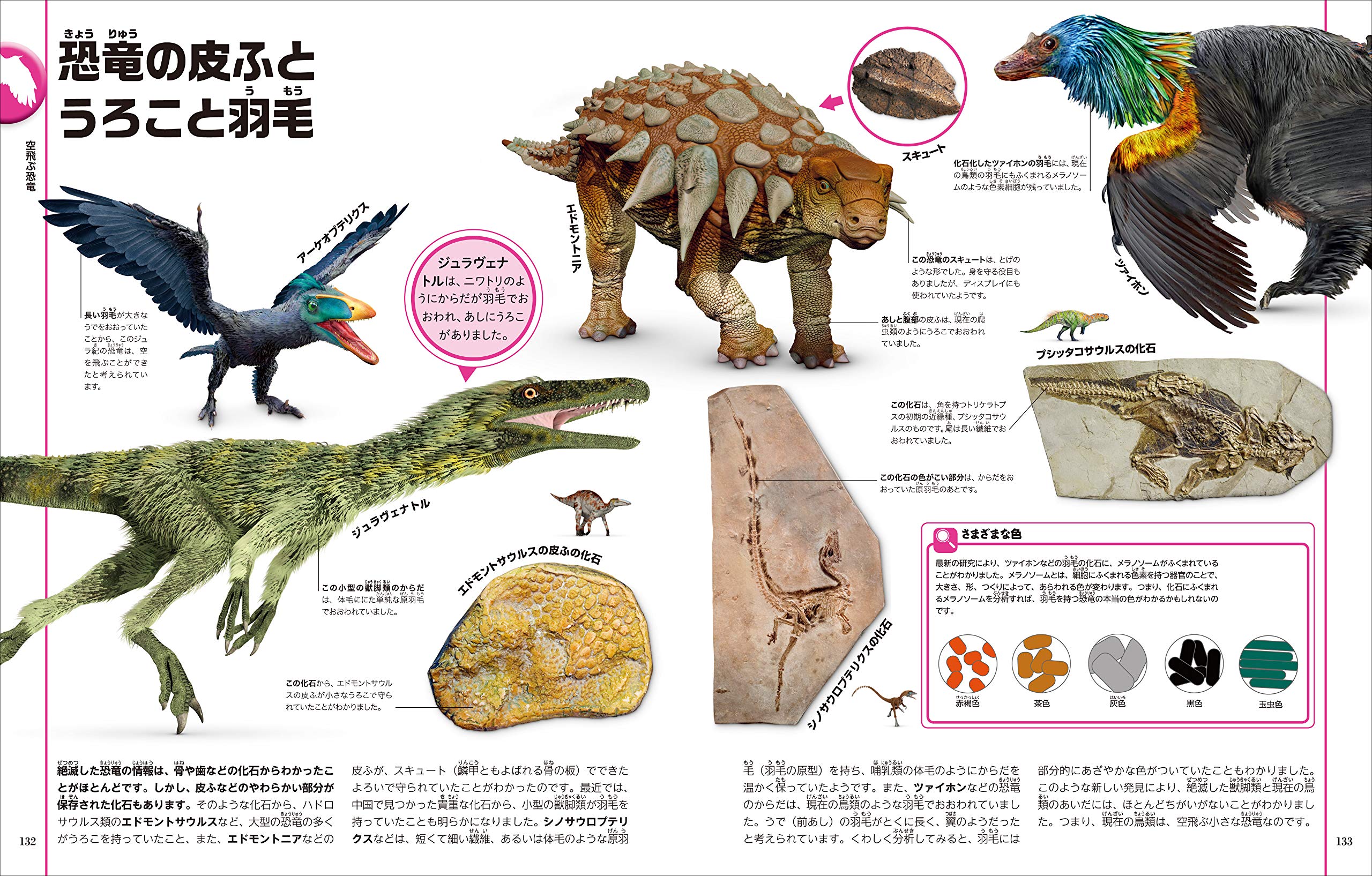 恐竜と古代の生き物図鑑 ジョン ウッドワード ダレン ナイシュ 田中 康平 田中 康平 喜多 直子 本 通販 Amazon