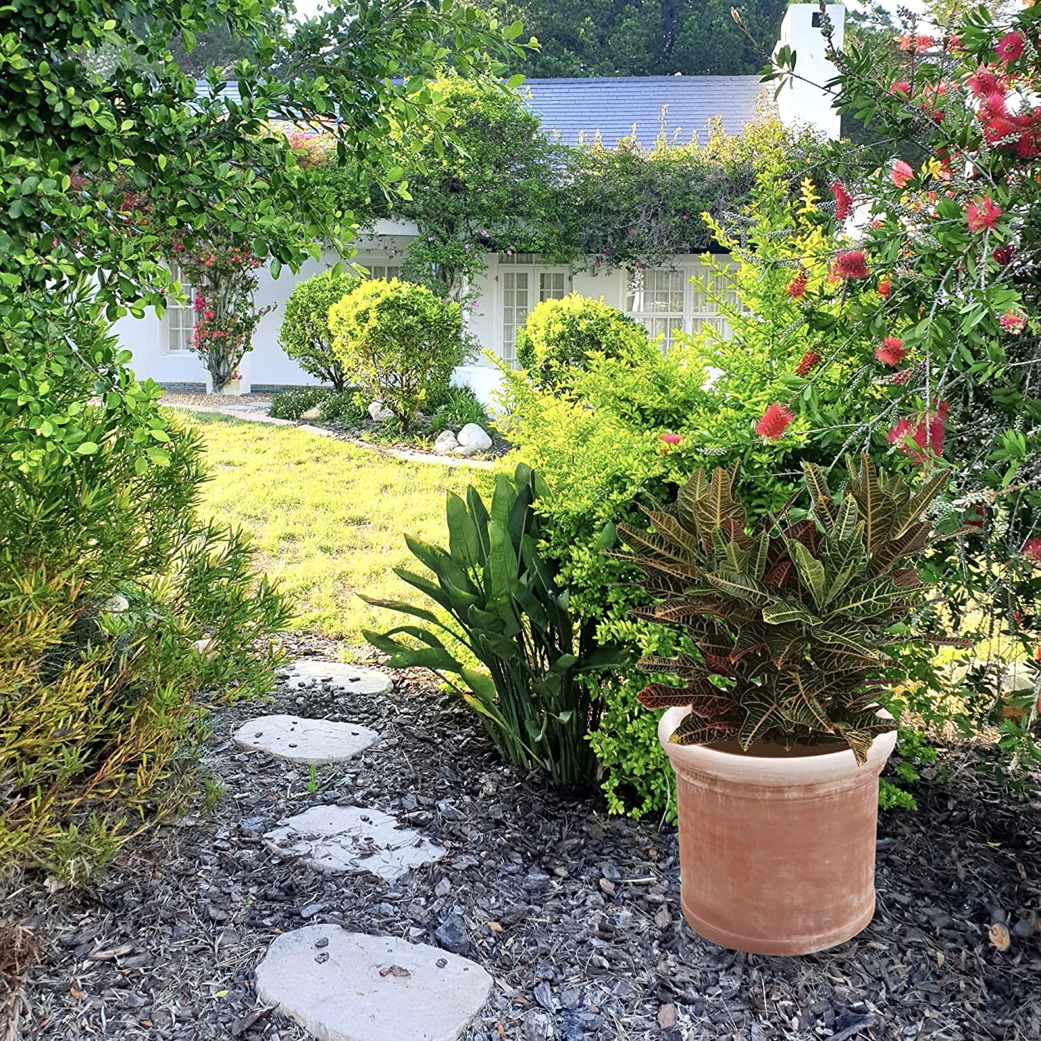 Biscottini Vasi terracotta grandi per piante 63x56x63 cm Made in Italy | Vaso grande da esterno artigianale