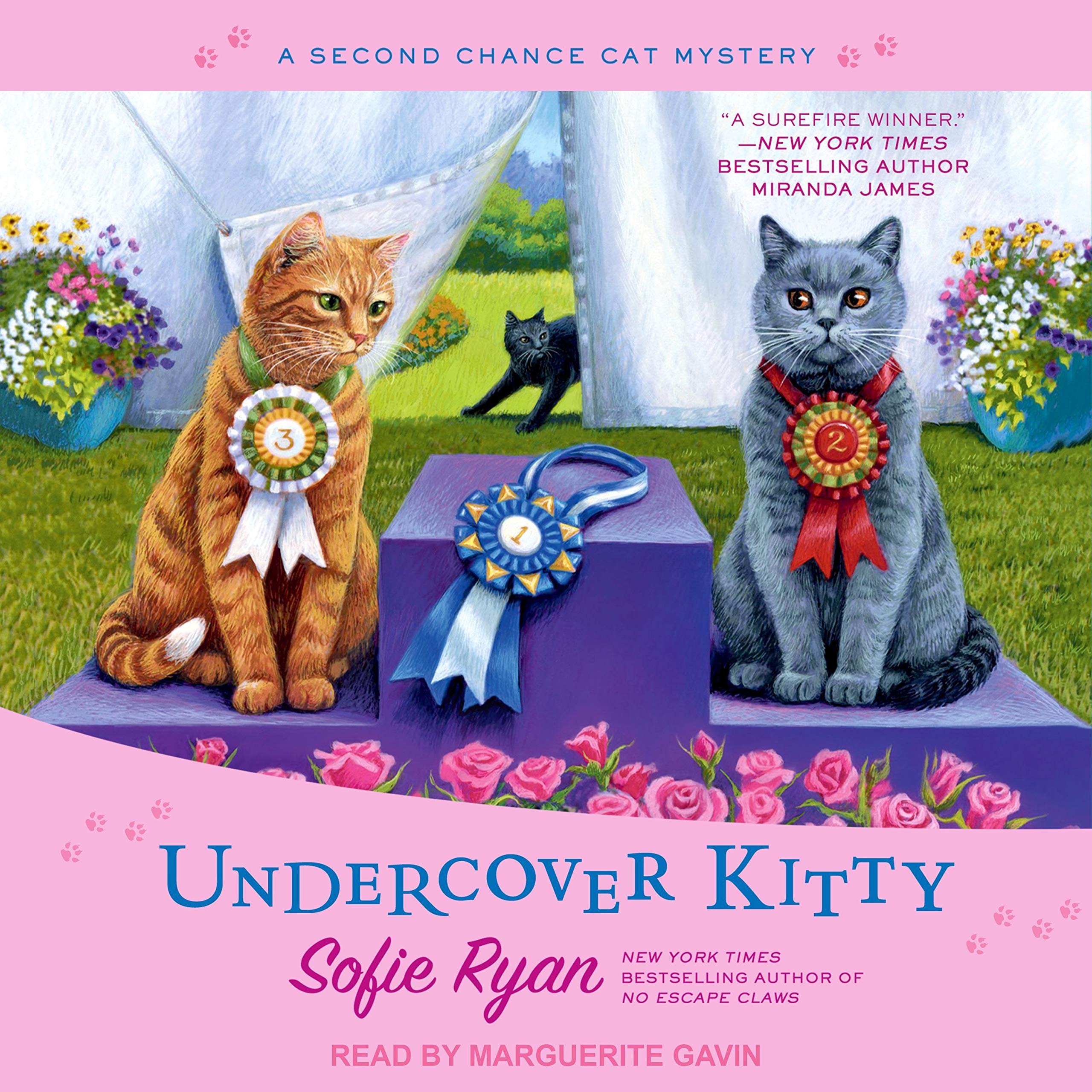 Cover art for Undercover Kitty