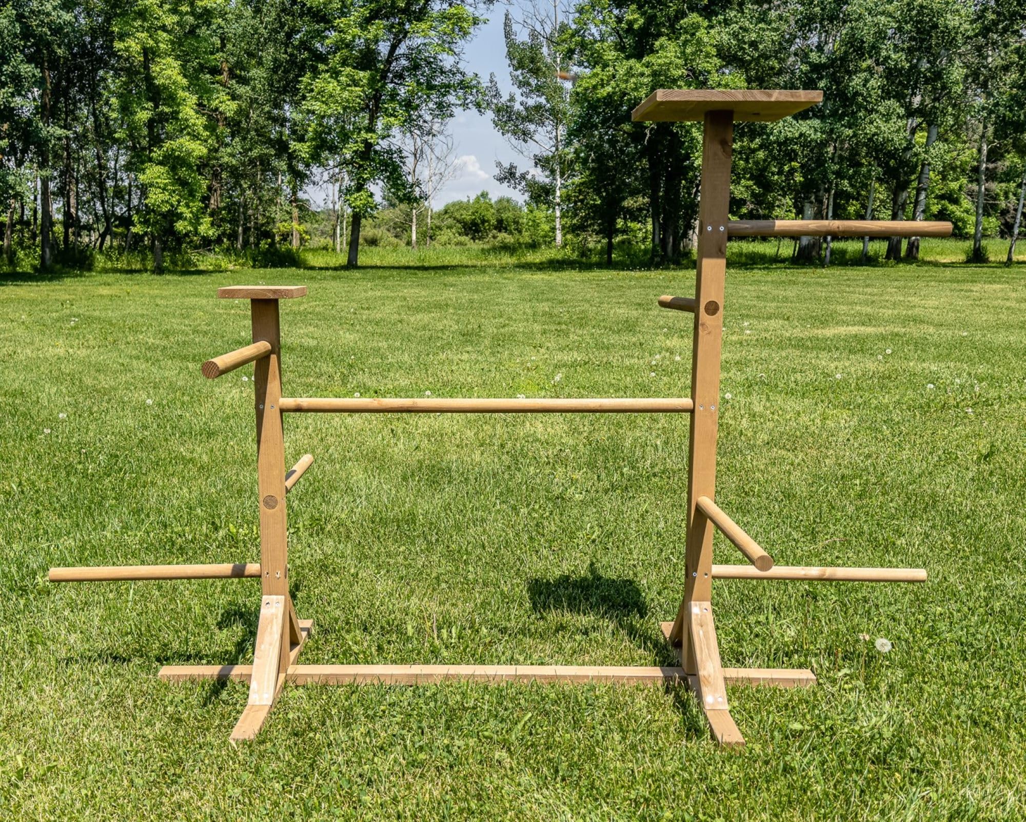 Zylina Play-N-Roost Double Roosting Perch