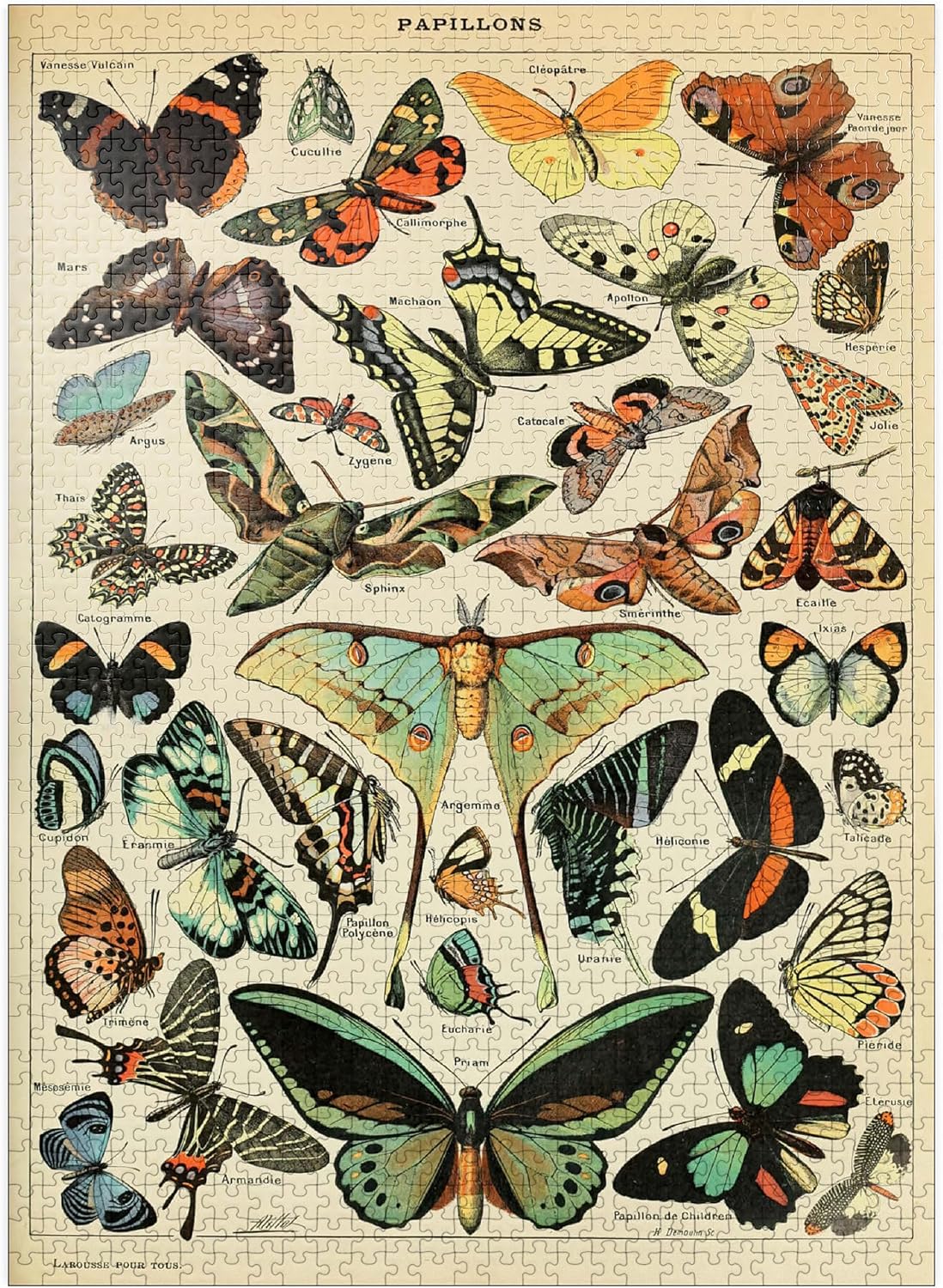 MyPuzzle Papillons - Butterflies for All, Vintage Art Poster, Adolphe Millot - Premium 1000 Piece Jigsaw Puzzle for Adults