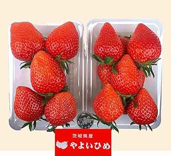 やよいひめ イチゴ（一季なり）：やよいひめ2.5号ポット の通販 | 園芸ネット