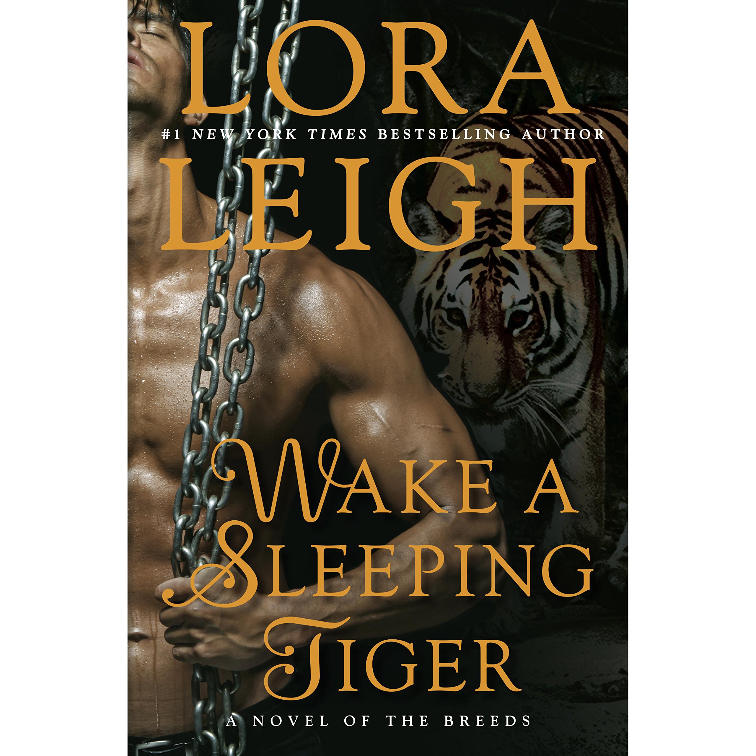 Cover art for Wake A Sleeping Tiger