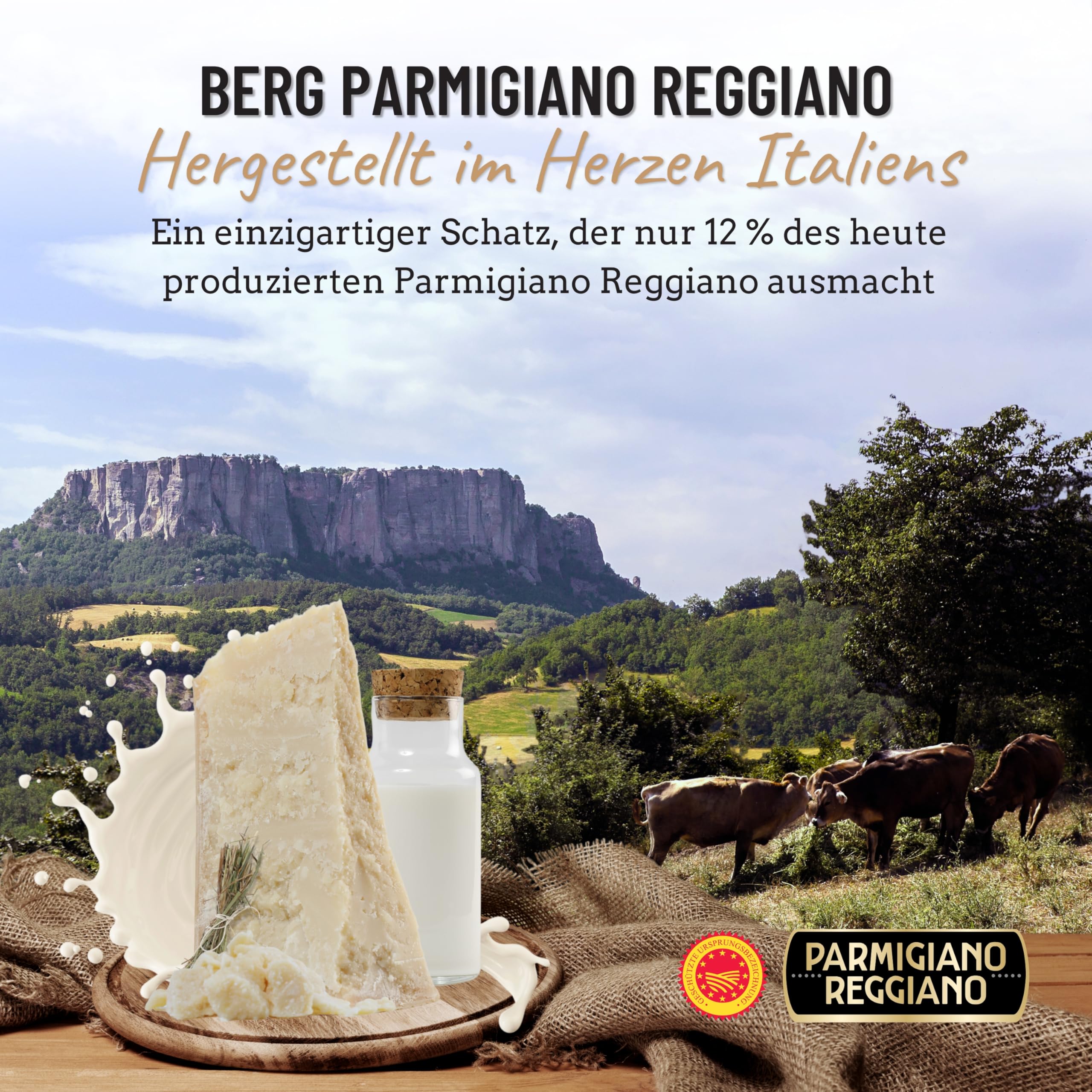 GUSTOEMILIA Berg-Parmigiano Reggiano Käse 36 Monate gereift - Ideal für Pasta, Brot, Salate, Snacks und Früchte - Italienischer gereifter Parmesan Käse 2,2 lb (1 kg)