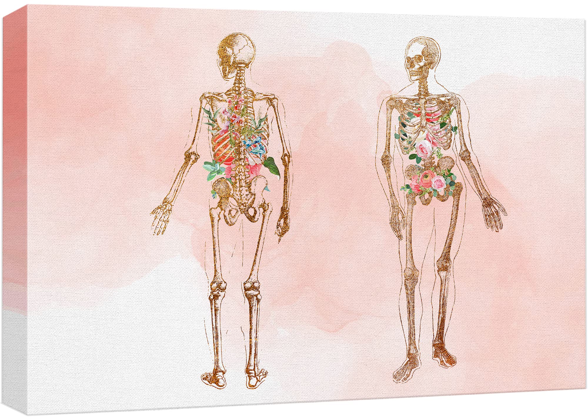 wall26 Canvas Print Wall Art Watercolor Pastel Rose Flower Skeleton Medical & Hospital Health Illustrations Modern Art Floral Botanical Colorful