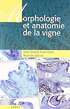 Download Morphologie et anatomie de la vigne PDF