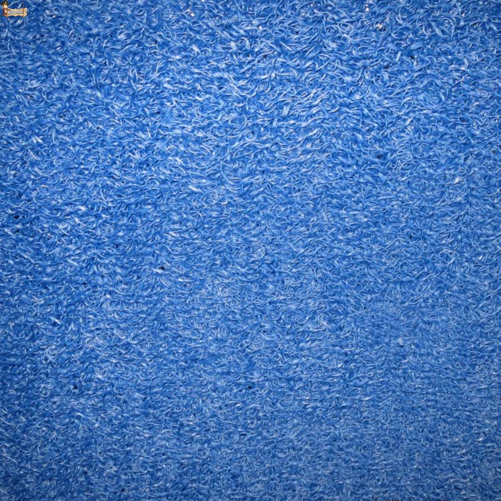 BricoLoco.com Zerbino ingresso casa, terrazzo. Gomma per ricci esterni o interni. blu. da metri o rotolo. Larghezza 1,20 MTS. x 12 MTS. Spessore 10 mm. con base. Tappeto Vinile Riccioli. (12 metri,