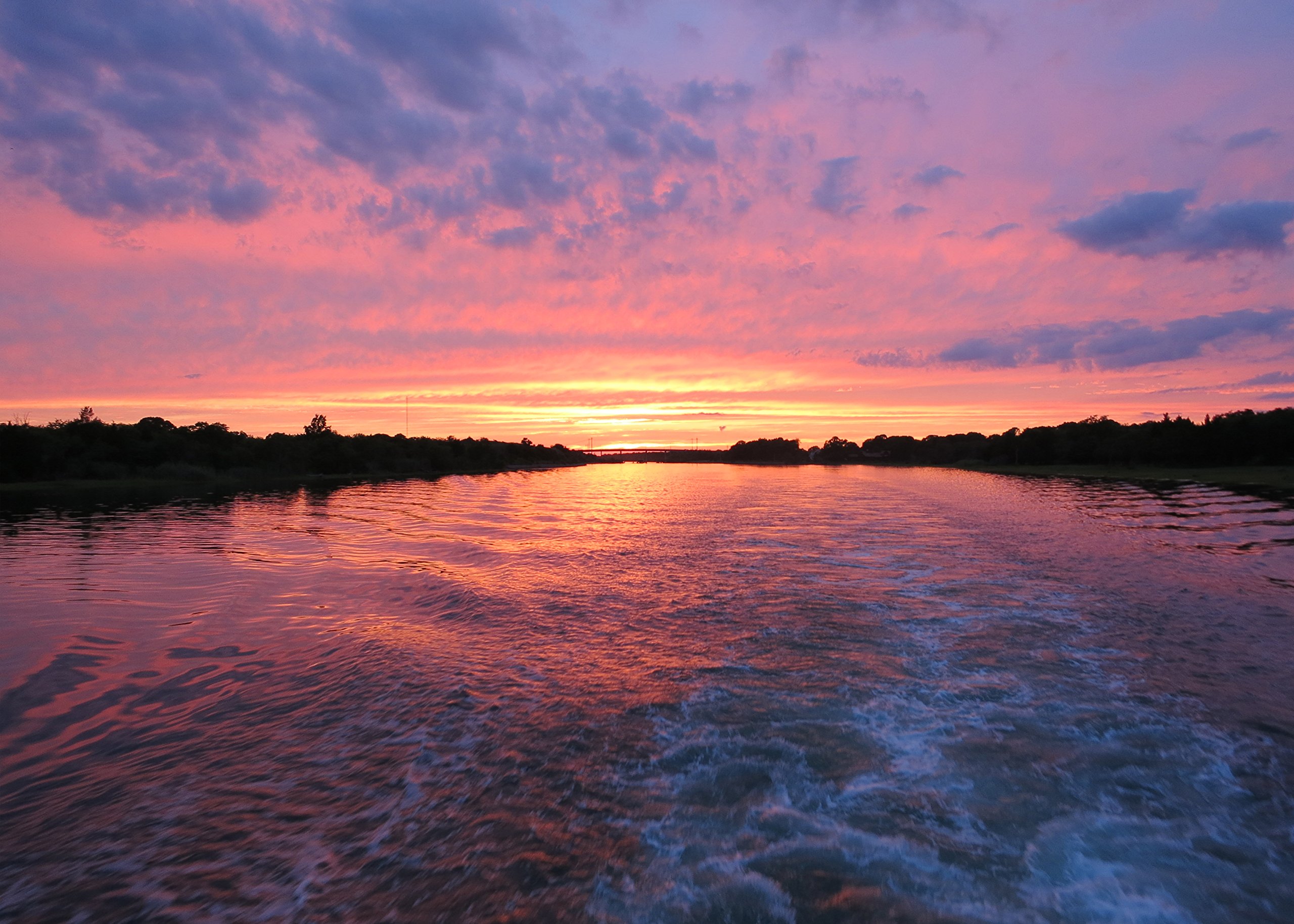 Amazon.com: 1000 Piece Jigsaw Puzzle | Great Indoor Activity