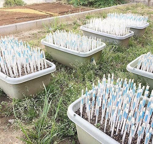 Miniatura 9 de Aquameter - Pequeño - Negro - Paquete de 2 - Medidor de humedad del suelo sin enjuague para plantas en macetas - Sensor de agua de plantas -