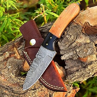 8 Inches Beautiful Damascus Skinner Knife Made Of Remarkable Damascus Steel Wood/Horn Handle/w Brown Leather Sheath TJ113 - SharpWorld