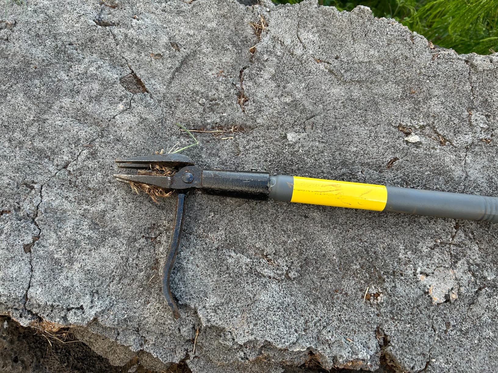 Local Tools Pull $9/mo - Finance Rocklin™ Stand Up Weed Puller Tool - 4 Claw Steel Head ...