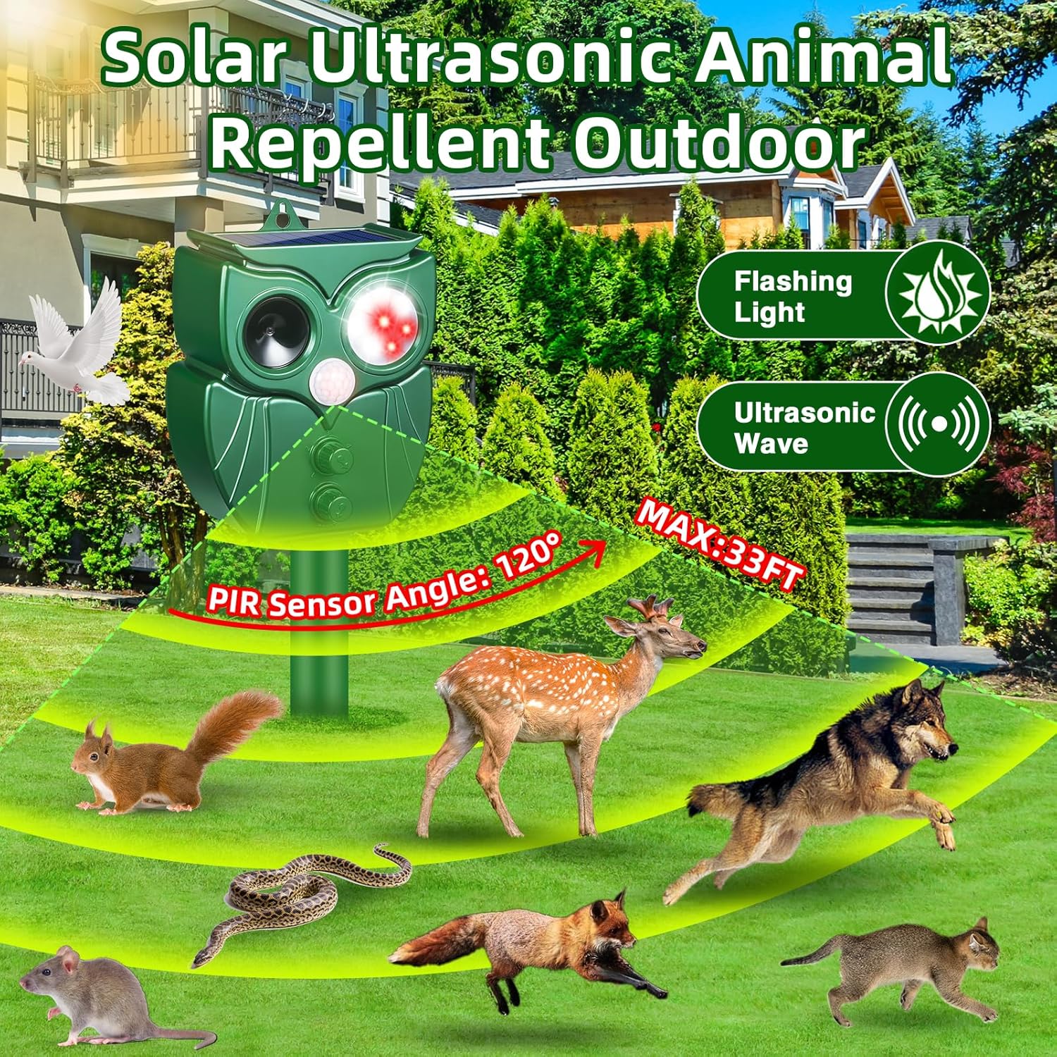 https://m.media-amazon.com/images/I/914yUb45iTL._AC_SL1500_.jpg