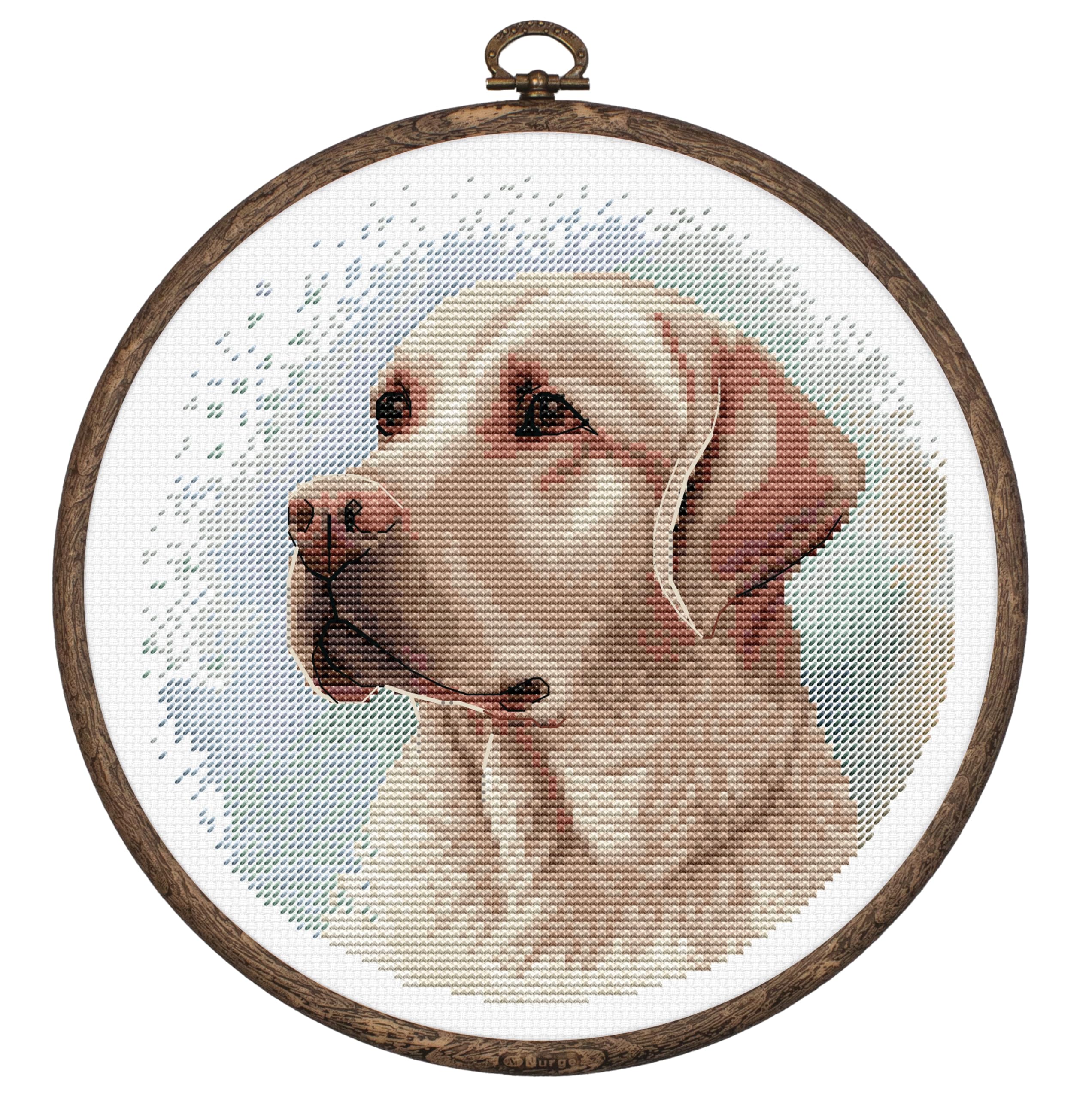 Luca-S The Labrador Cross Stitch Kit With Hoop Included Bc211, Counted Cross Stitch Kit For Adults, Needlecraft And Embroidery Kit