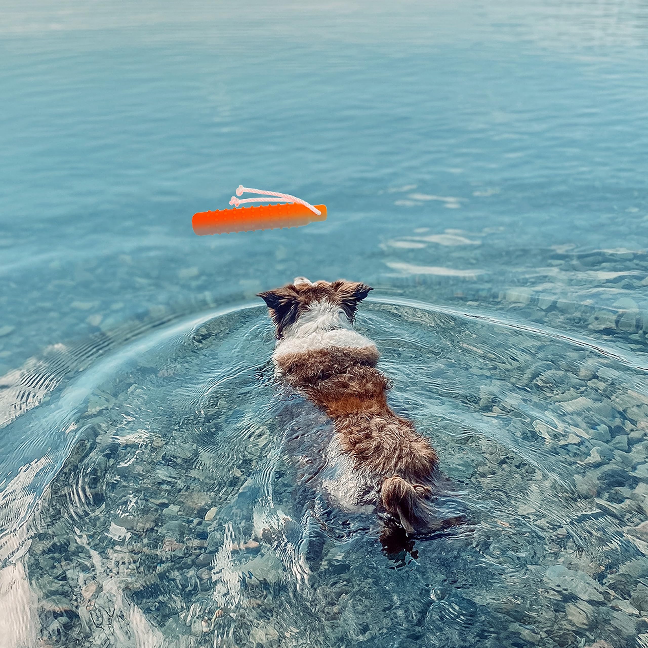 Wasserspielzeug für Hunde – Interaktives Apportier-Hundespielzeug schwimmen auf Wasserpool für Training, Apportieren, Jagen, Stoßstange im Freien – lustiges Puzzle-Hundespielzeug mit Seil für