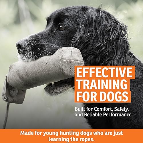 Miniatura 10 de SportDOG Brand SportHunter Family - Tenis remotos  incluyendo la nueva serie X  impermeables, recargables collares de entrenamiento para perros con