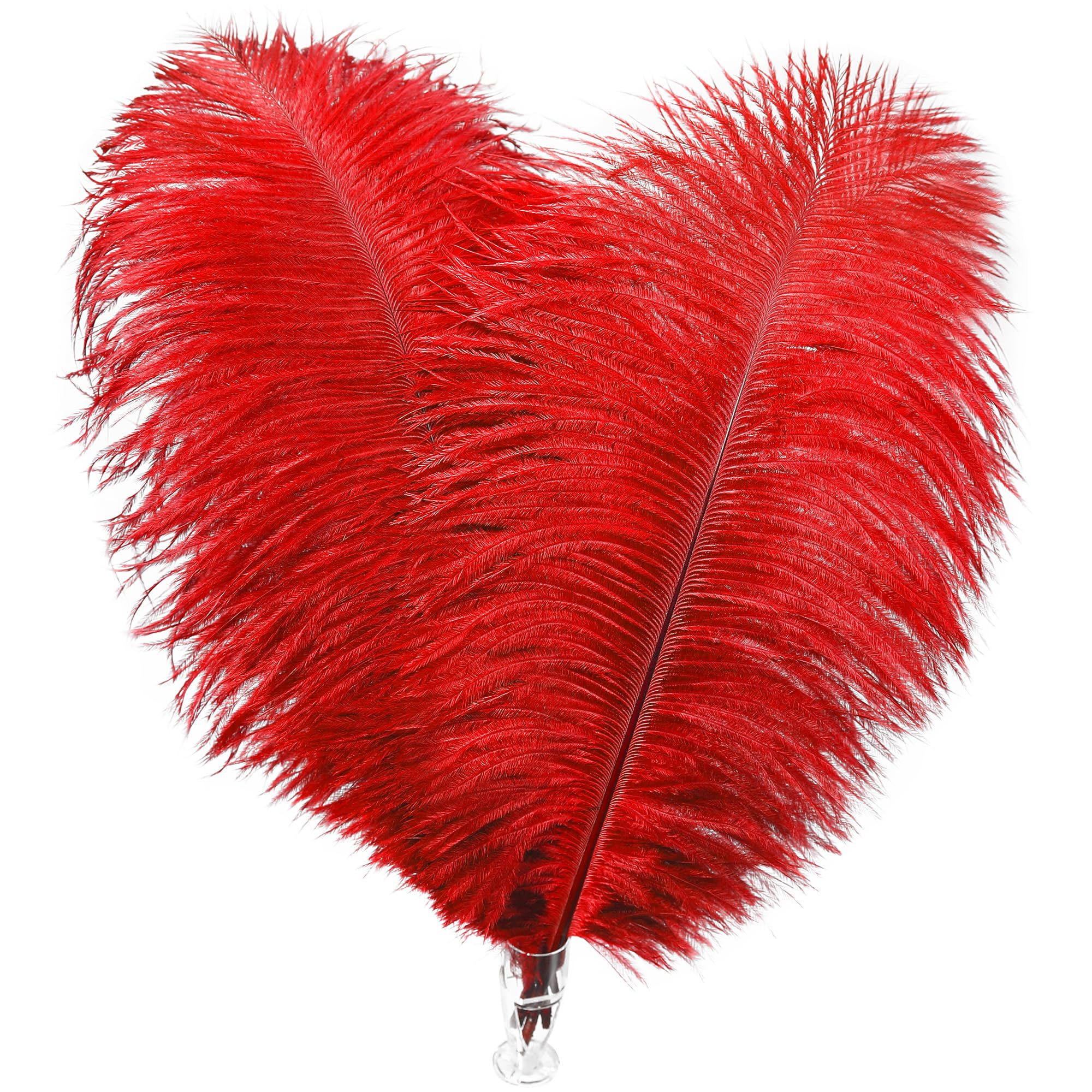 Soarer Red Long Ostrich Feathers Bulk for Crafting - 18pcs 8-10inch