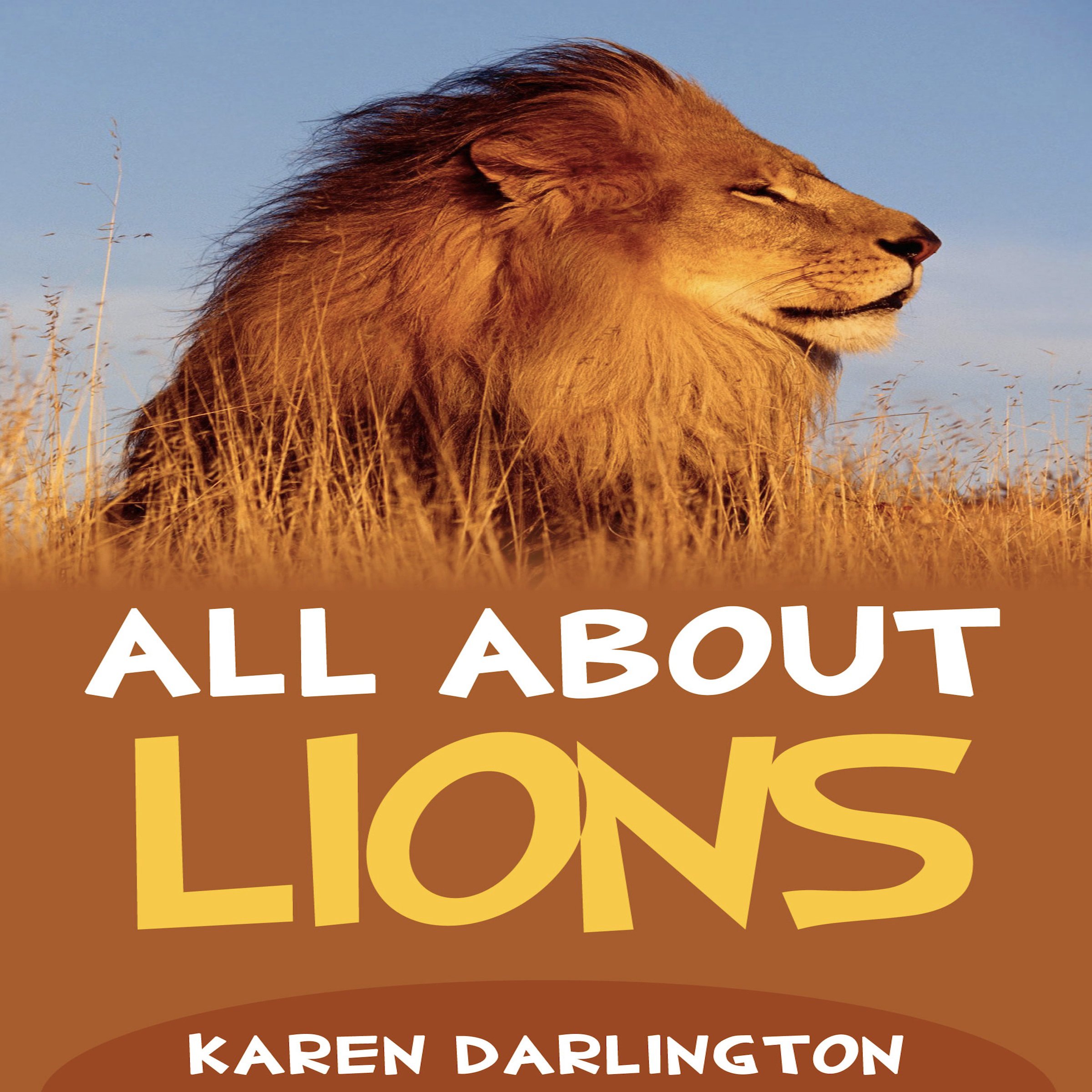 All About Lions