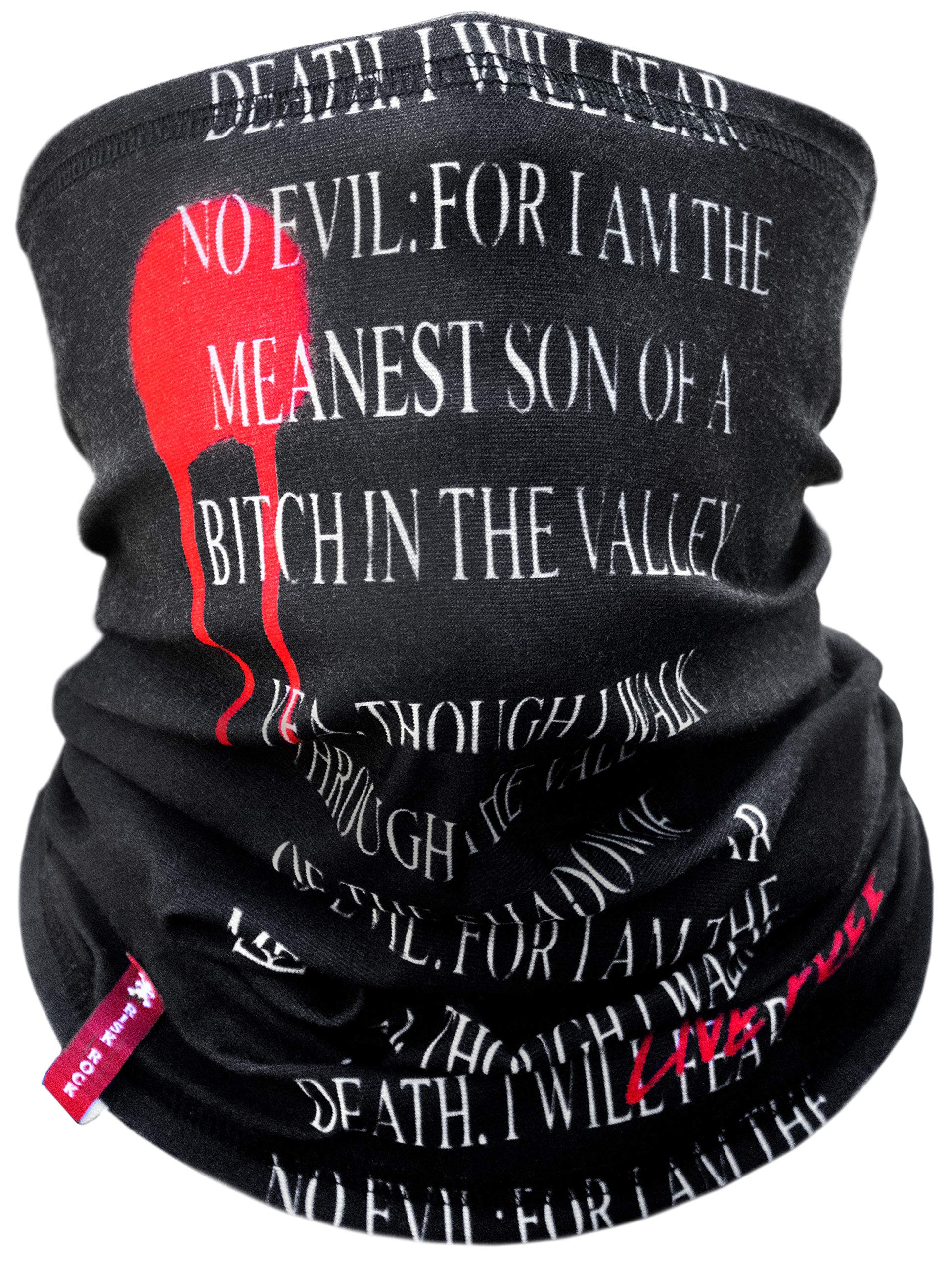 Indie RidgeMotorcycle Face Mask And RISK - Motorcycle Ski Snowboard Winter Mask (Meanest SOB)