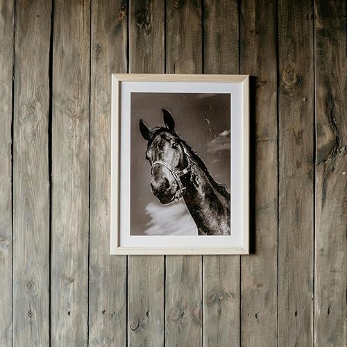 Miniatura 7 de Percha universal grande para marco, 14 ganchos para fotos, 24 tiras adhesivas extraíbles grandes, paquete económico, ganchos para colgar cuadros sin