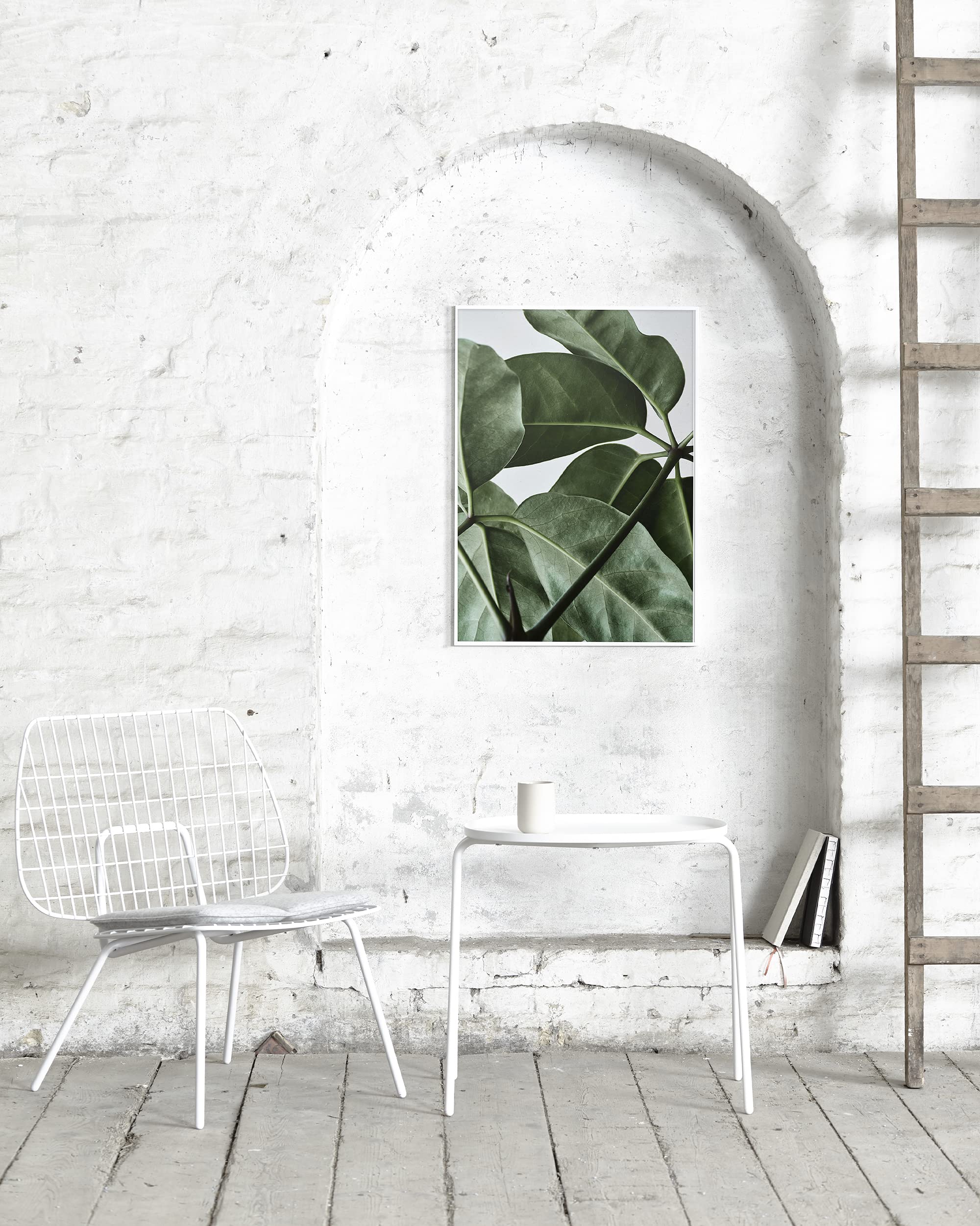 Amazon.co.jp: 【PAPER COLLECTIVE】GREEN HOME 01/グリーンホーム01