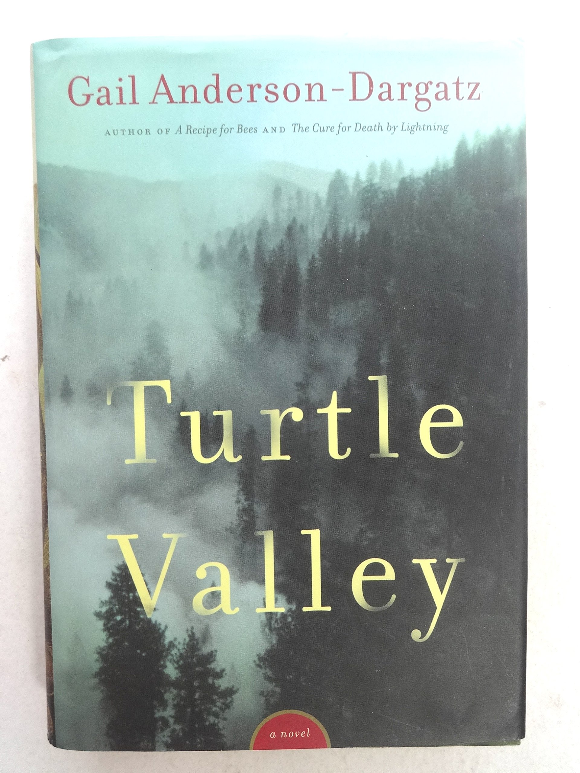 Turtle Valley [Hardcover] Anderson-Dargatz, Gail