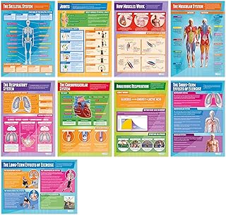 Applied Anatomy & Physiology Posters - Set of 9 | PE Posters | Laminated Gloss Paper measuring 850mm x 594mm (A1) | Physical Education Charts for the Classroom | Education Charts by Daydream Education