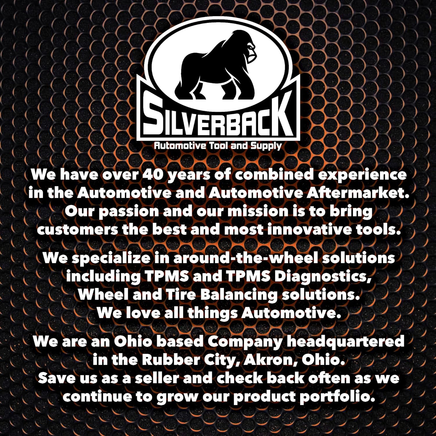 Silverback Automotive EZ 6-Pack Balancing Beads, 6.5 oz. Insert Bags. Ideal for Tire Dealers, Fleet Vehicles, Trucks, Vans, RVs, and Off-Road Tires