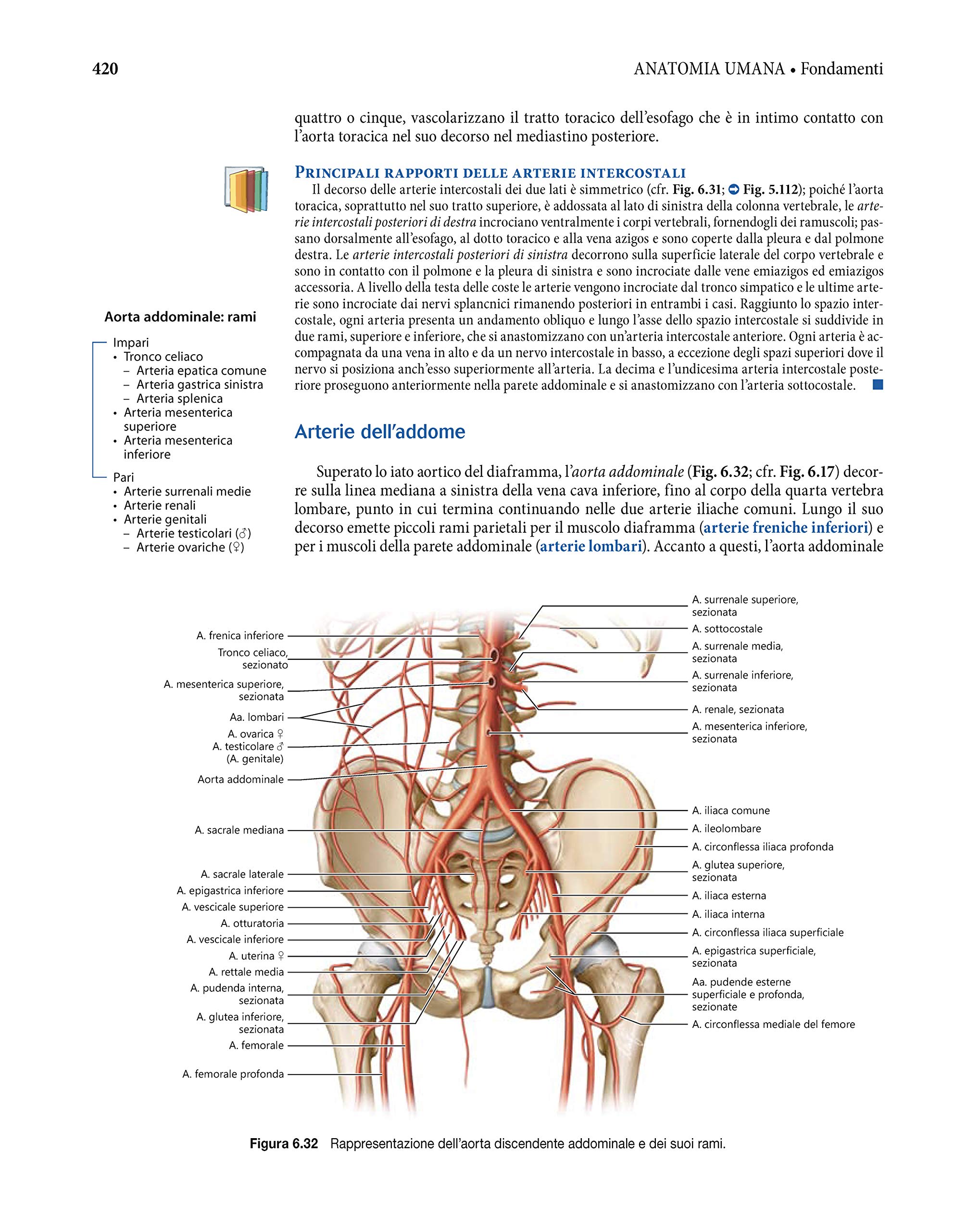 Anatomia umana. Fondamenti. Con istituzioni di istologia. Con e-book. Con espansione online