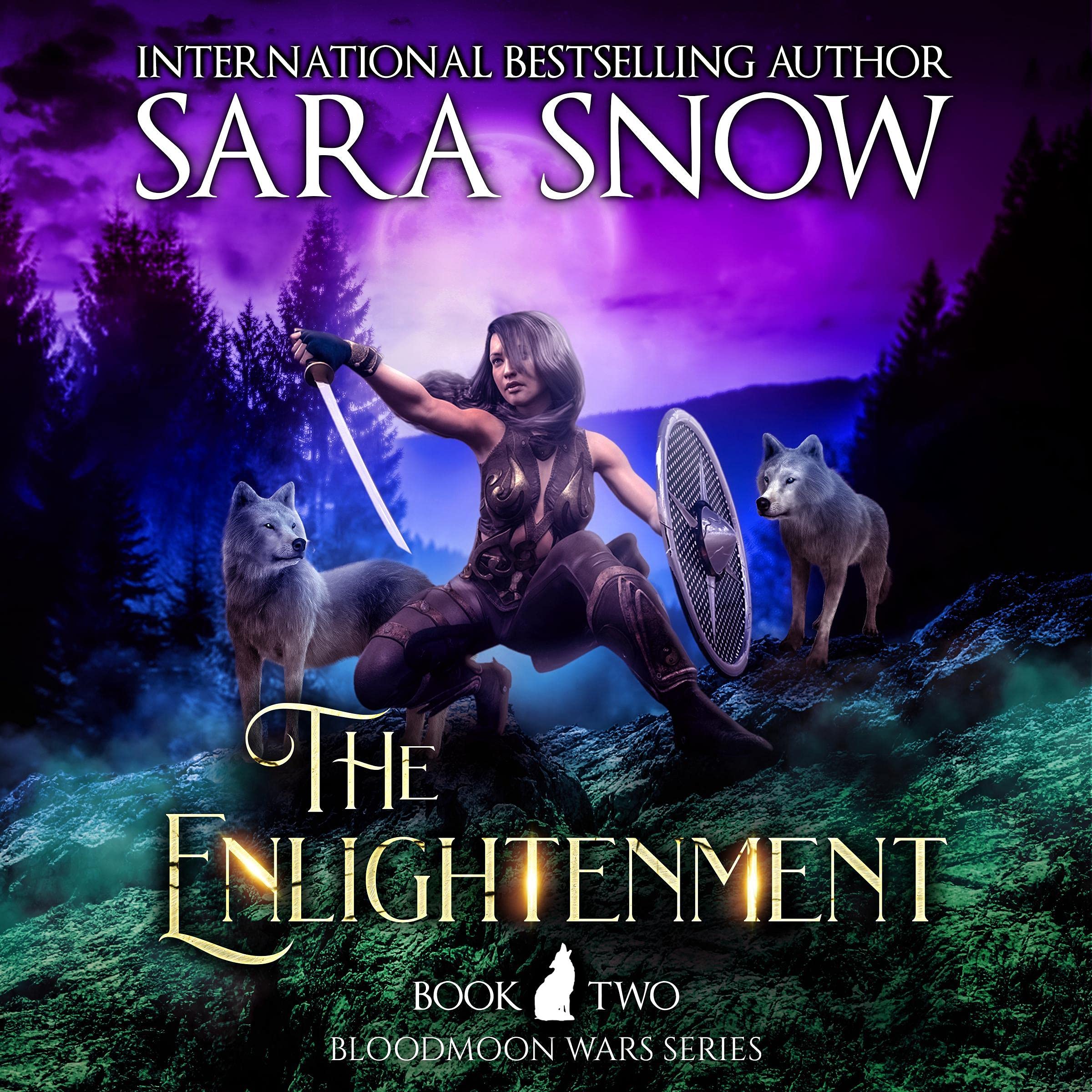 Cover art for The Enlightenment