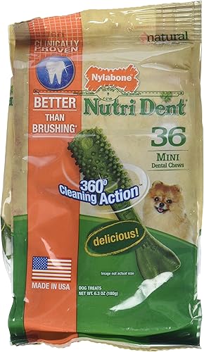 Nylabone Nutri Dent Mini masticables dentales - 36 unidades, 6.3 onzas, (paquete de 2)