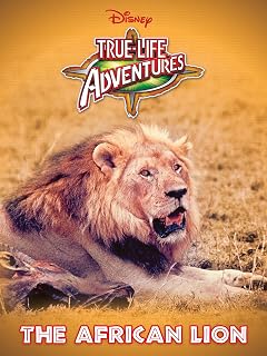The African Lion