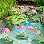 EBaokuup 4 Sacs de plantation d'étangs aquatiques Pcs, 7" Pot de plantes à mailles réutilisables, pot de plantes lys de la place verte respirant pour jardin de plantes de tourbières d'étang Plante terrestre