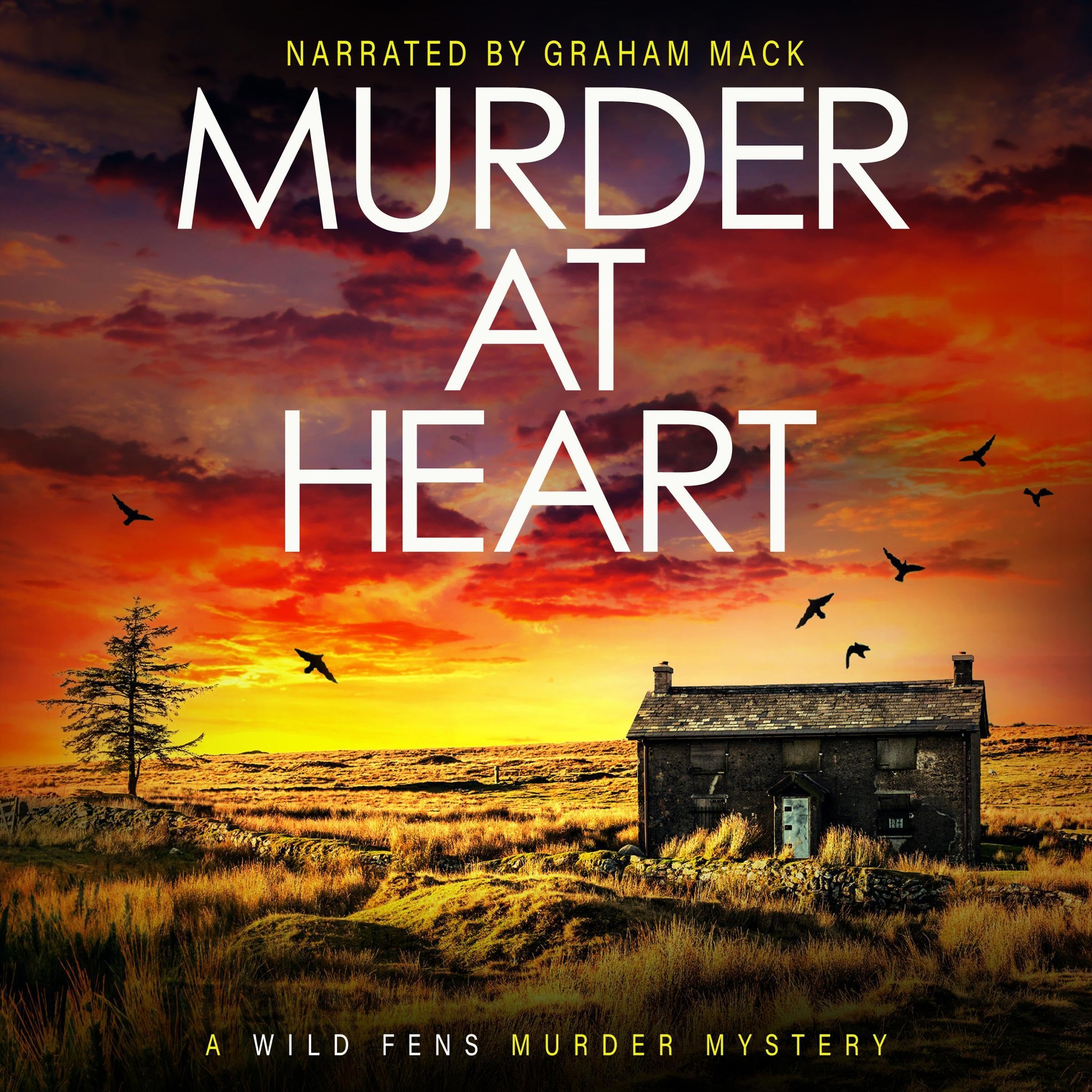 Cover art for Murder at Heart