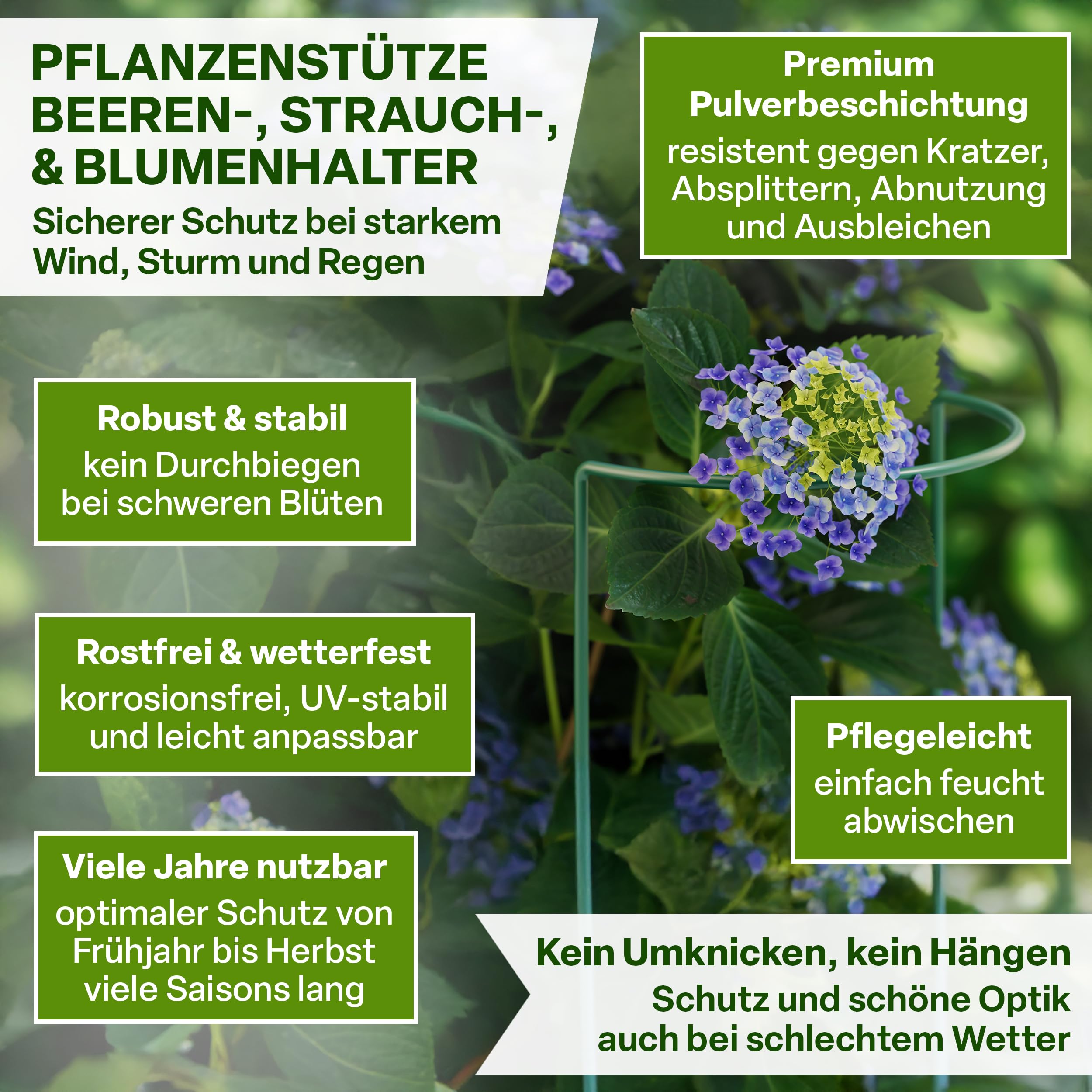 8 Pflanzenstützen + 5 Clips - Stabile Halterung Für Gartenpflanzen
