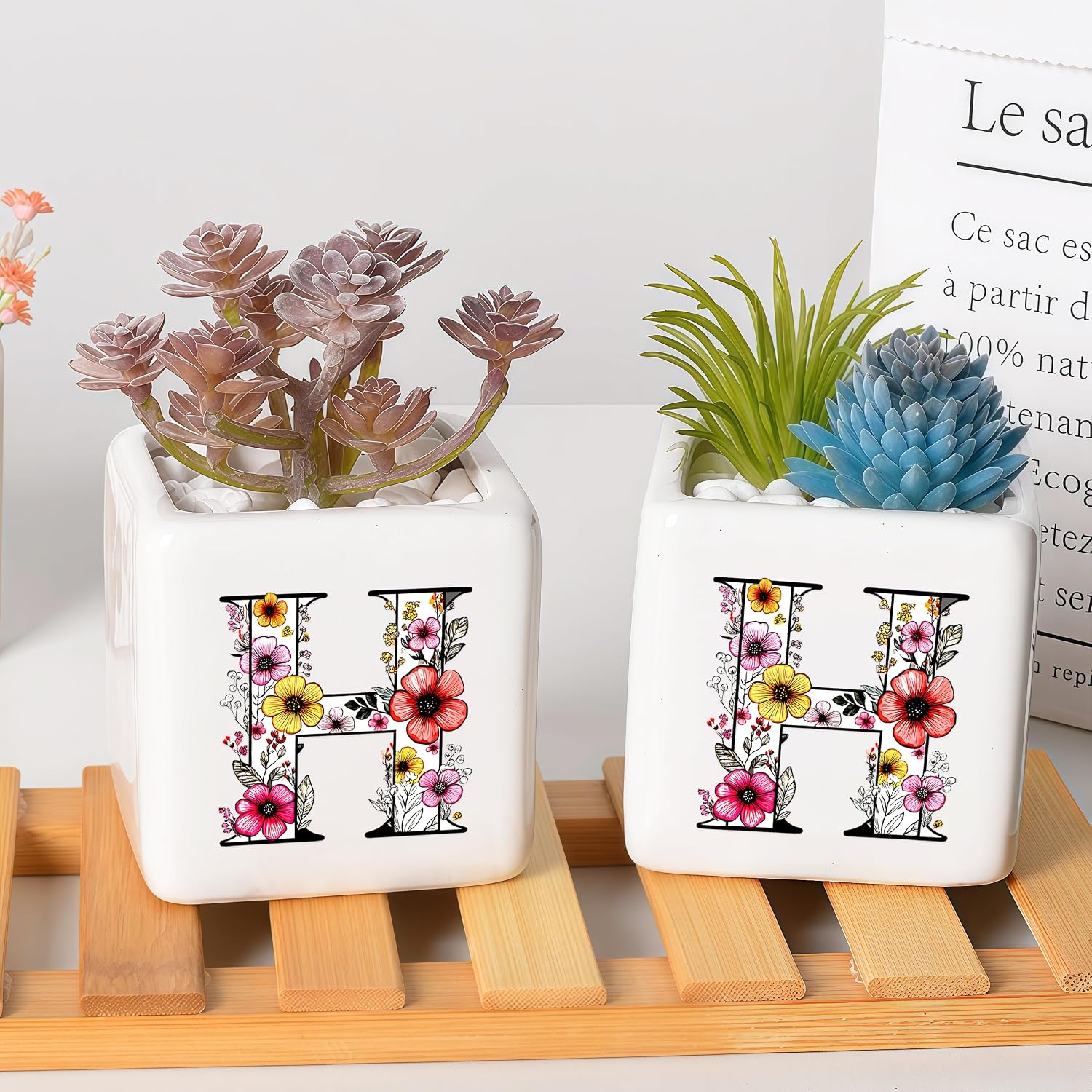Succulent Planter Flower Plant Pot Small, Party Travel Weekend Office Home Anniversary Friendship Gifts Essentials (Letter H) image 5