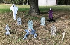 Review Image by Diania Holland Diania Holland