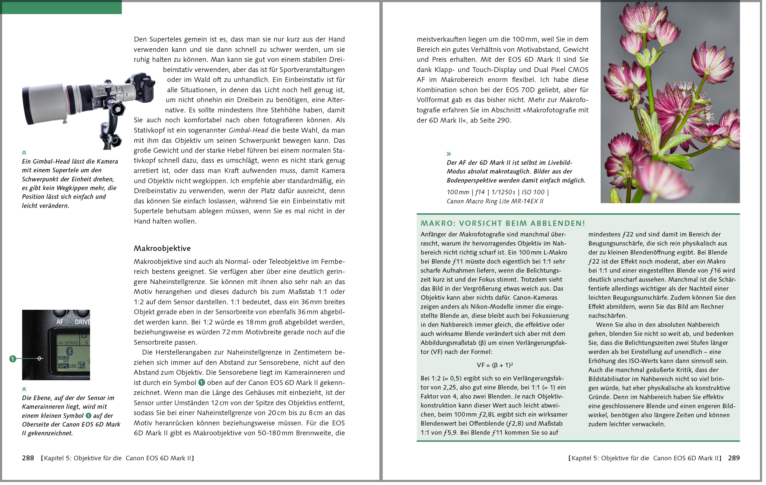 Canon EOS 6D Mark II: Das Handbuch zur Kamera – Alle Funktionen verstehen und beherrschen