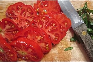 50+ Costoluto Genovese Tomato Seeds: The Juiciest, Most Flavorful Tomatoes You'll Ever Grow