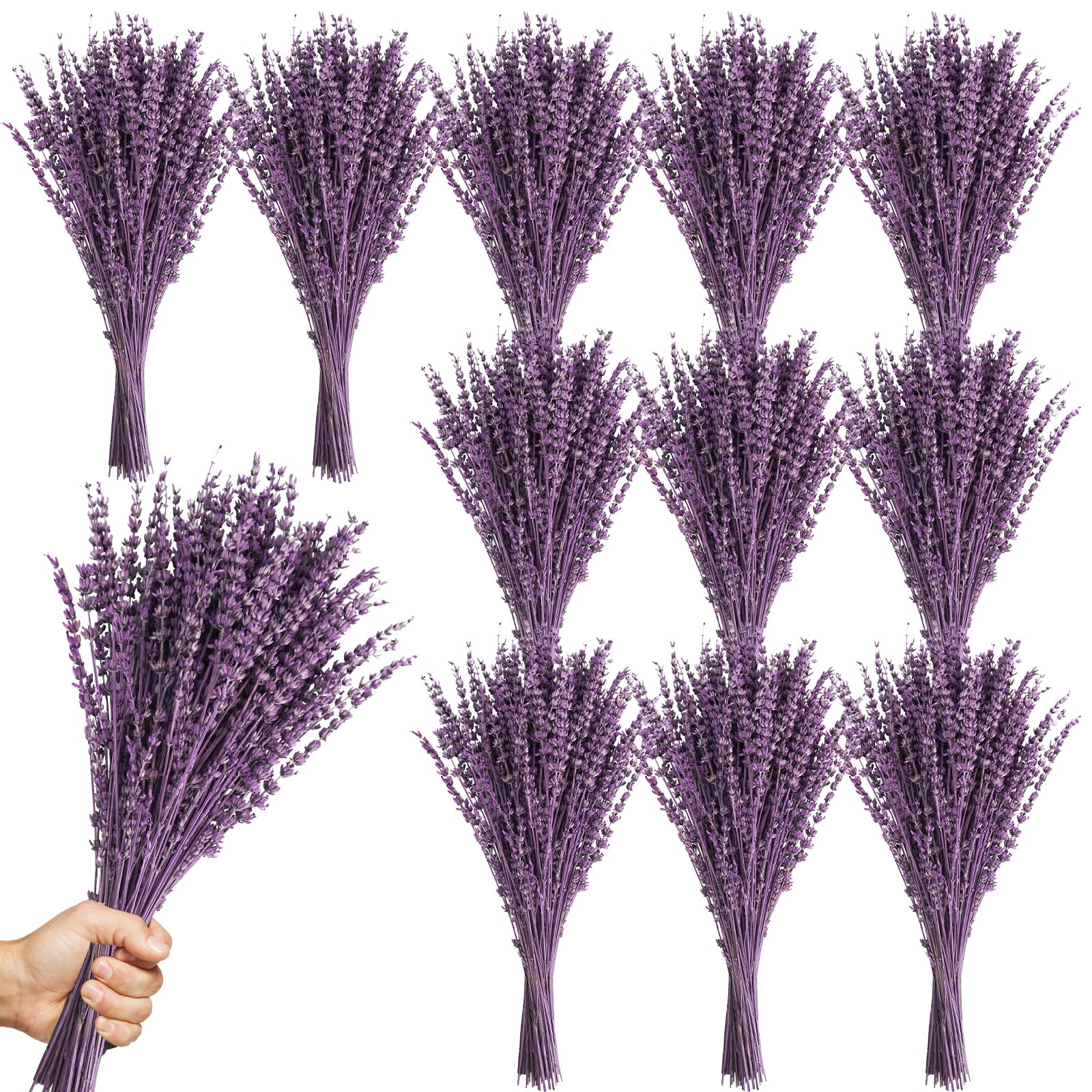 Uieke 12Pack Dried Lavender Flowers Bundles, 16" Dried Purple Preserved Lavender Stems Bouquet for Shower Weeding Home Fragrance Vase Crafts Decor,
