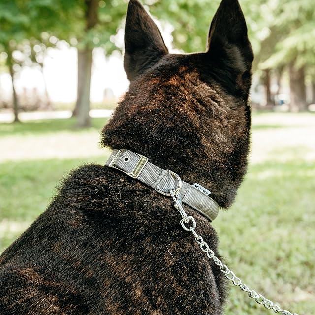 Foto 3 de 6 de Ferplast Collar para Perro, tamaño Mediano-Grande, de Nailon Acolchado con Hebilla metálica Ajustable