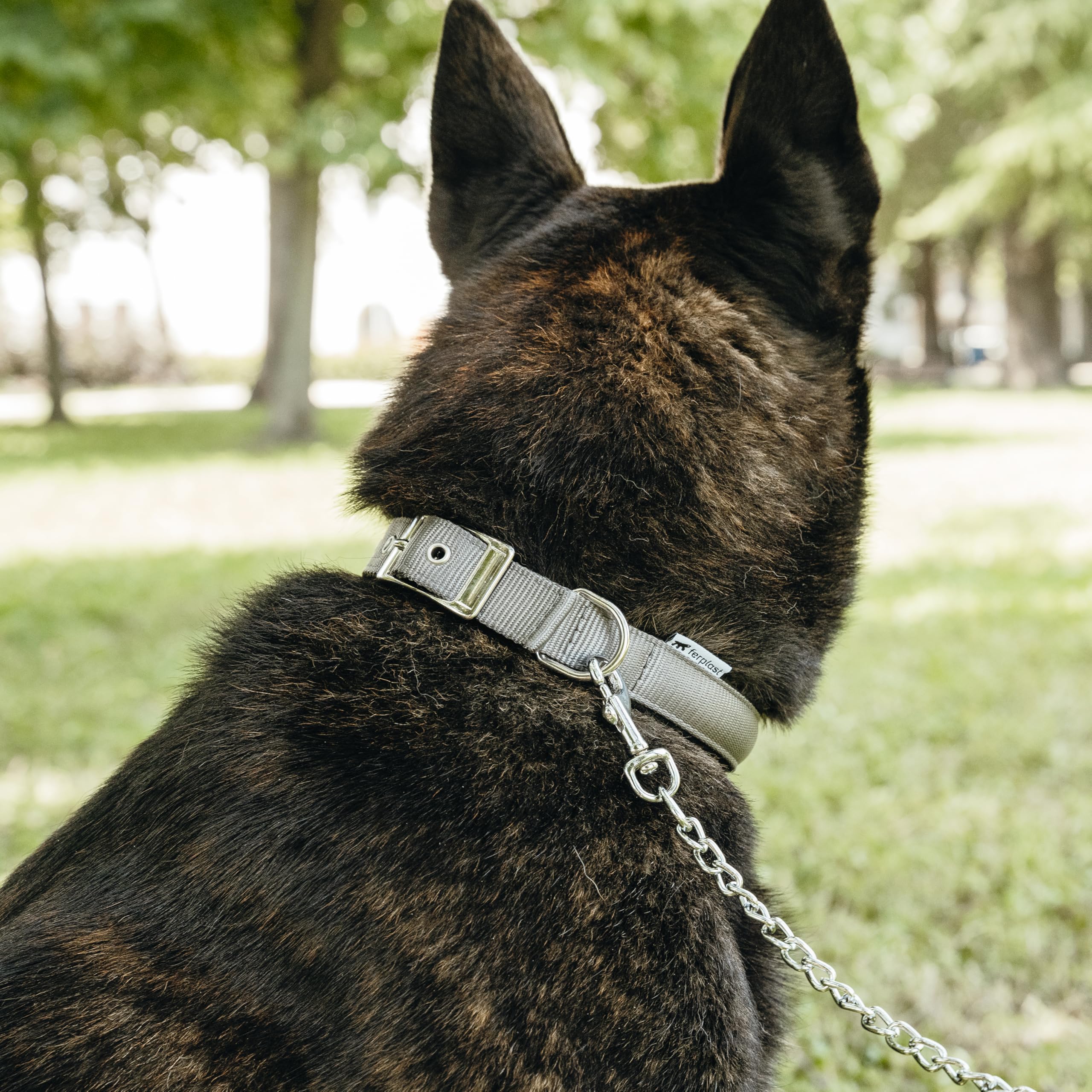 Ferplast Dog Collar Medium Large Size Dog Collar in Padded Nylon Adjustable Metal Buckle, Neck Size 34-42 cm, Dark Green - Image 3