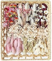 Vista 9 de Juego de flores secas naturales, flores secas a granel con tallos, margaritas secas, hierba de cola de conejo seca, mini ramo (blanco)