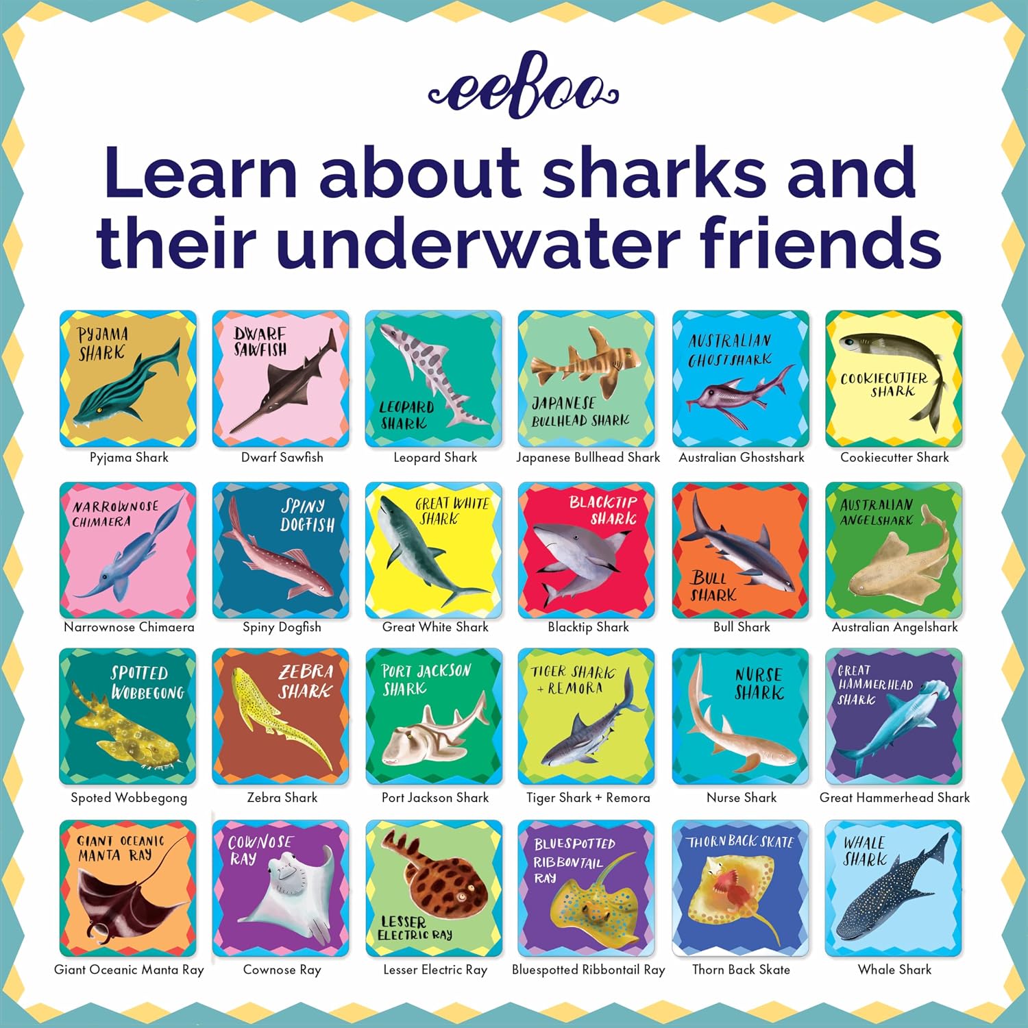 eeBoo: Memory & Matching Game- Shiny Sharks & Friends - 24 Matching Pairs, Educational Preschool Game, Kids Ages 3+, 1-4 Players