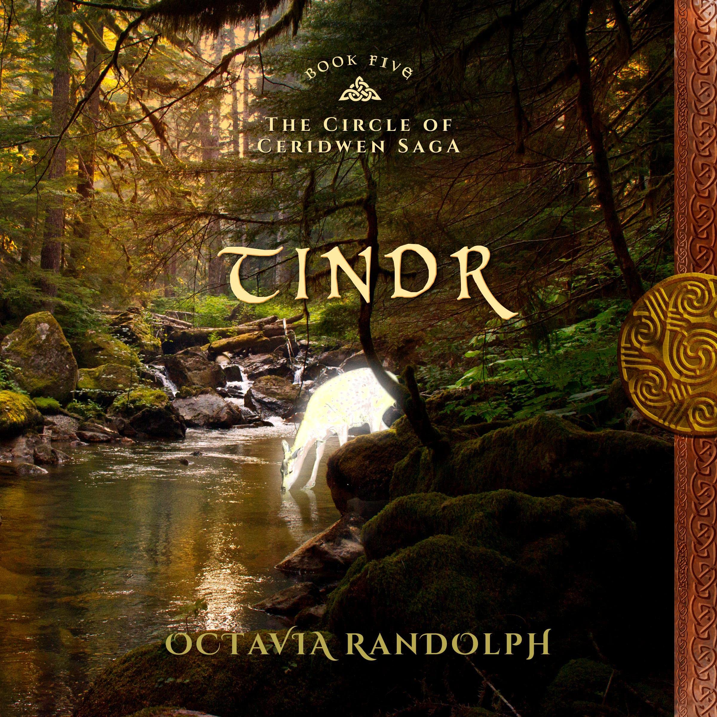 Cover art for Tindr