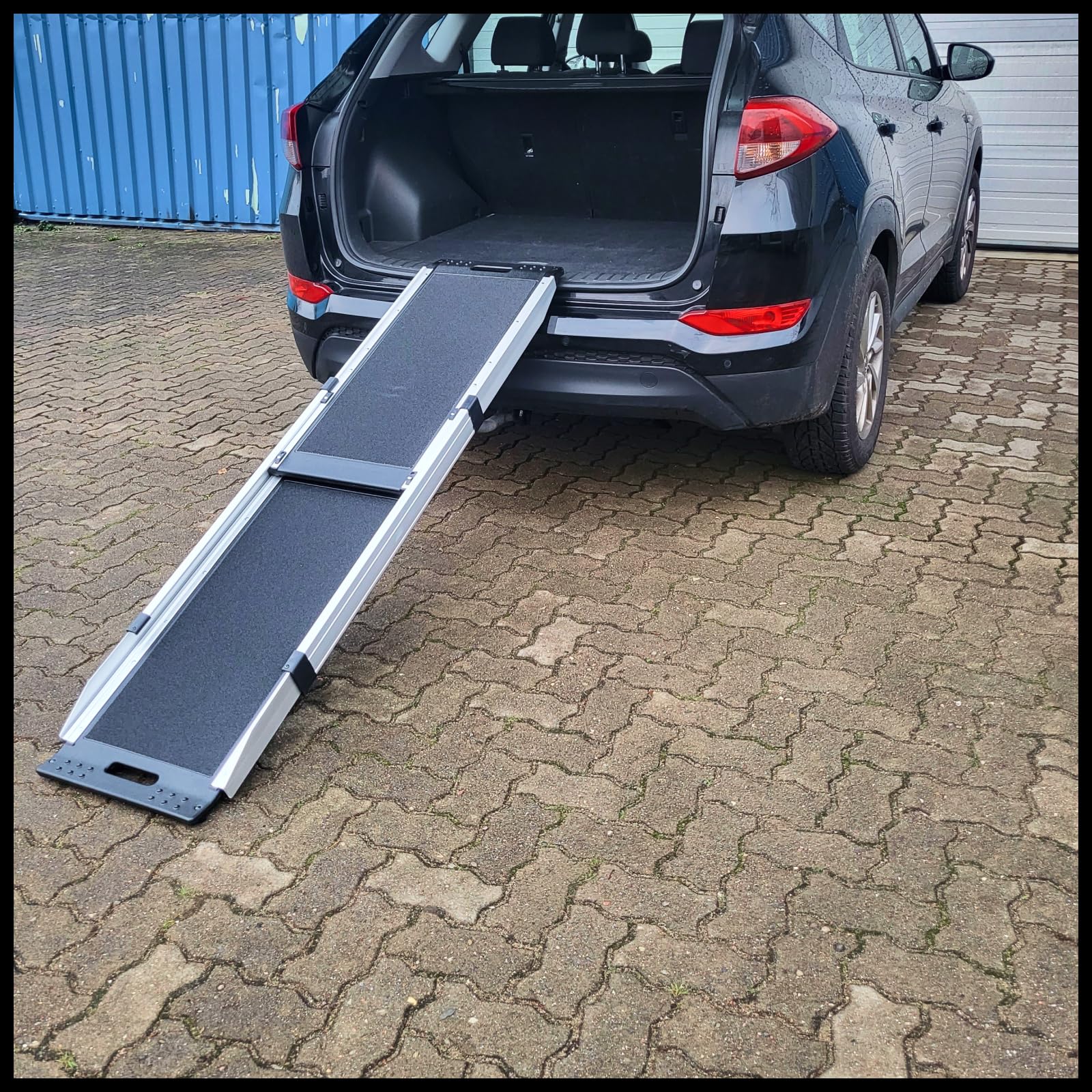 Rampa Telescopica Allungabile fino a 180 kg Alluminio per Cane Animali Domestici 175x41cm DRT41